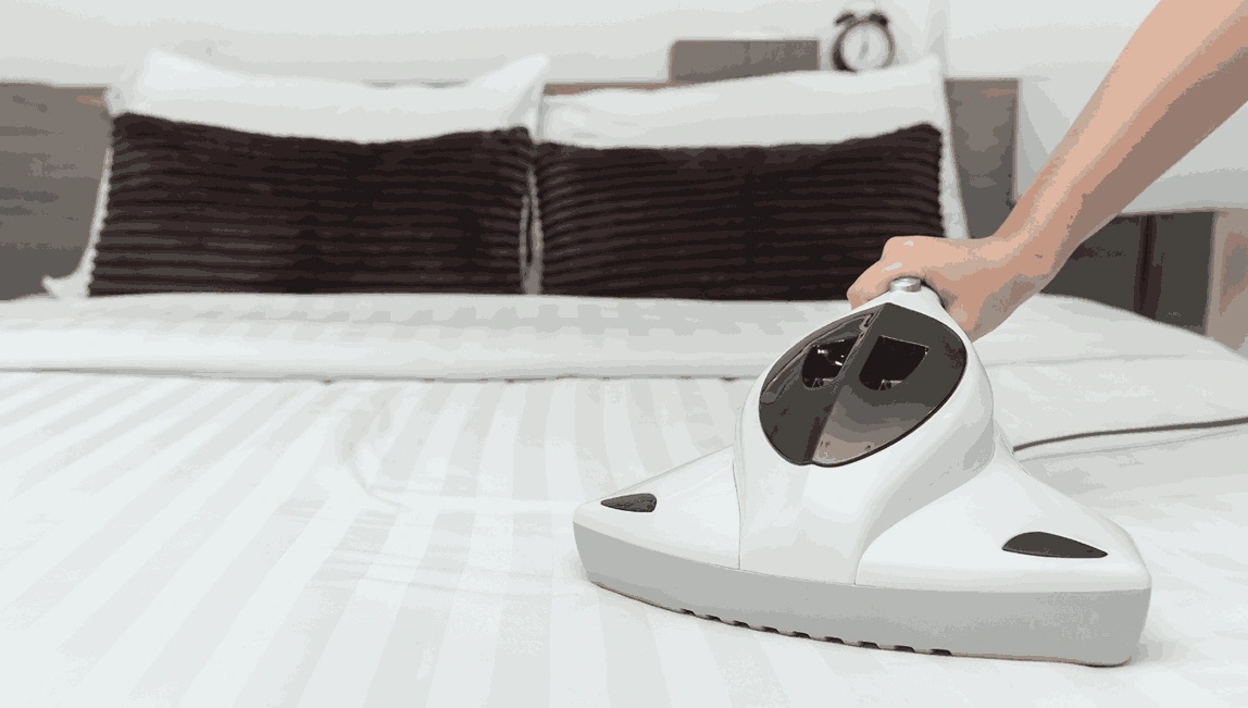 Professional Mattress Cleaning Don Valley